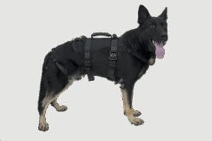 HARNESS, K9 PROSERIES RAPPEL, CMC